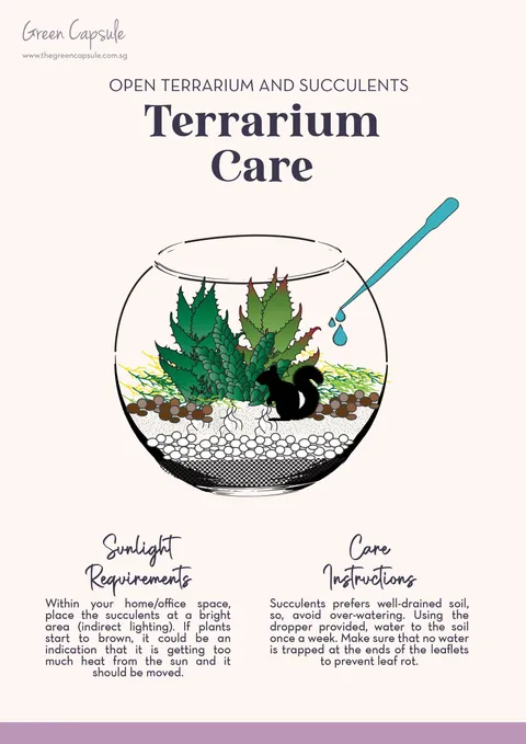 GC_Product explained_Terrarium Care - OT