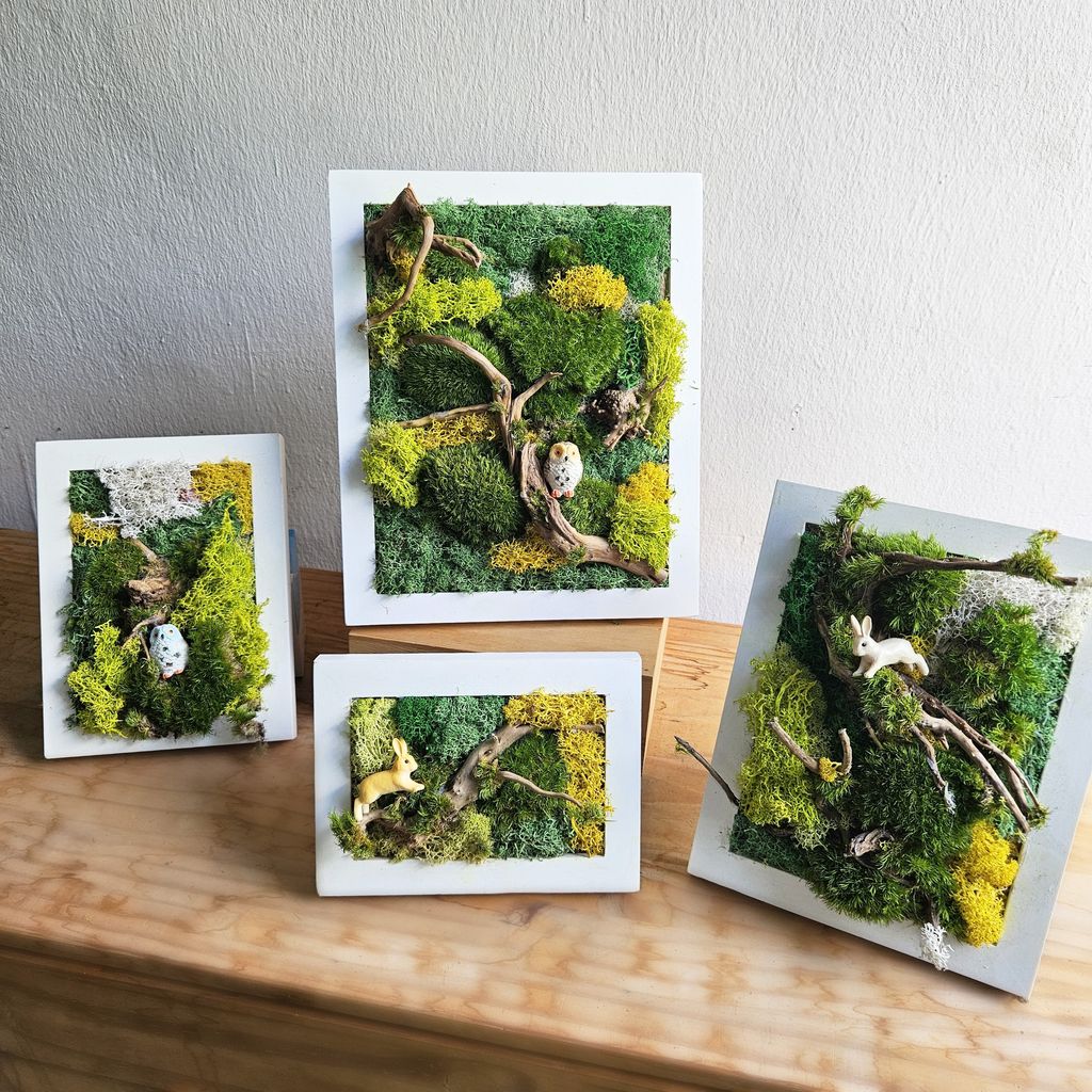 WhatsApp Image 2025-06-13 at 11.56.49