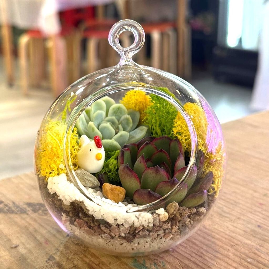 WhatsApp Image 2025-08-26 at 3.52.11 PM