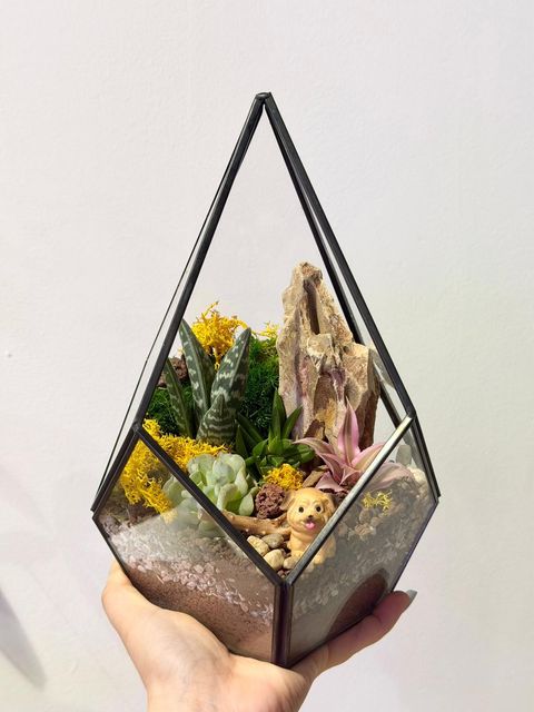 WhatsApp Image 2025-11-11 at 1.02.40 PM