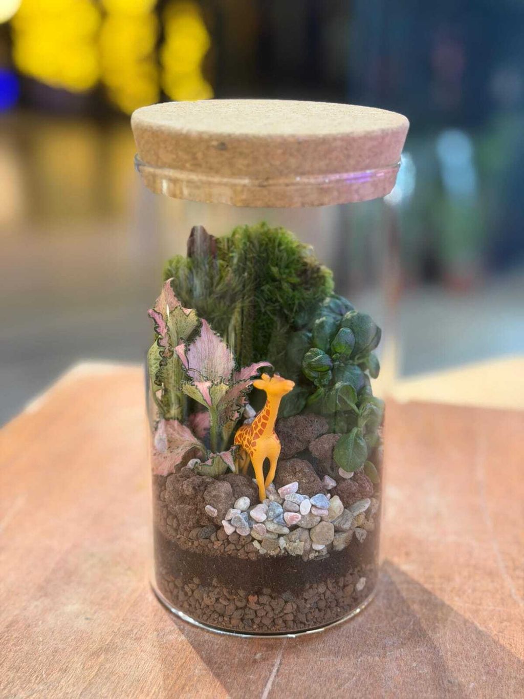 WhatsApp Image 2025-11-20 at 10.05.09 AM