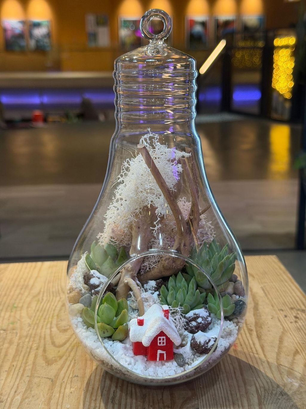 WhatsApp Image 2025-12-08 at 7.21.37 PM