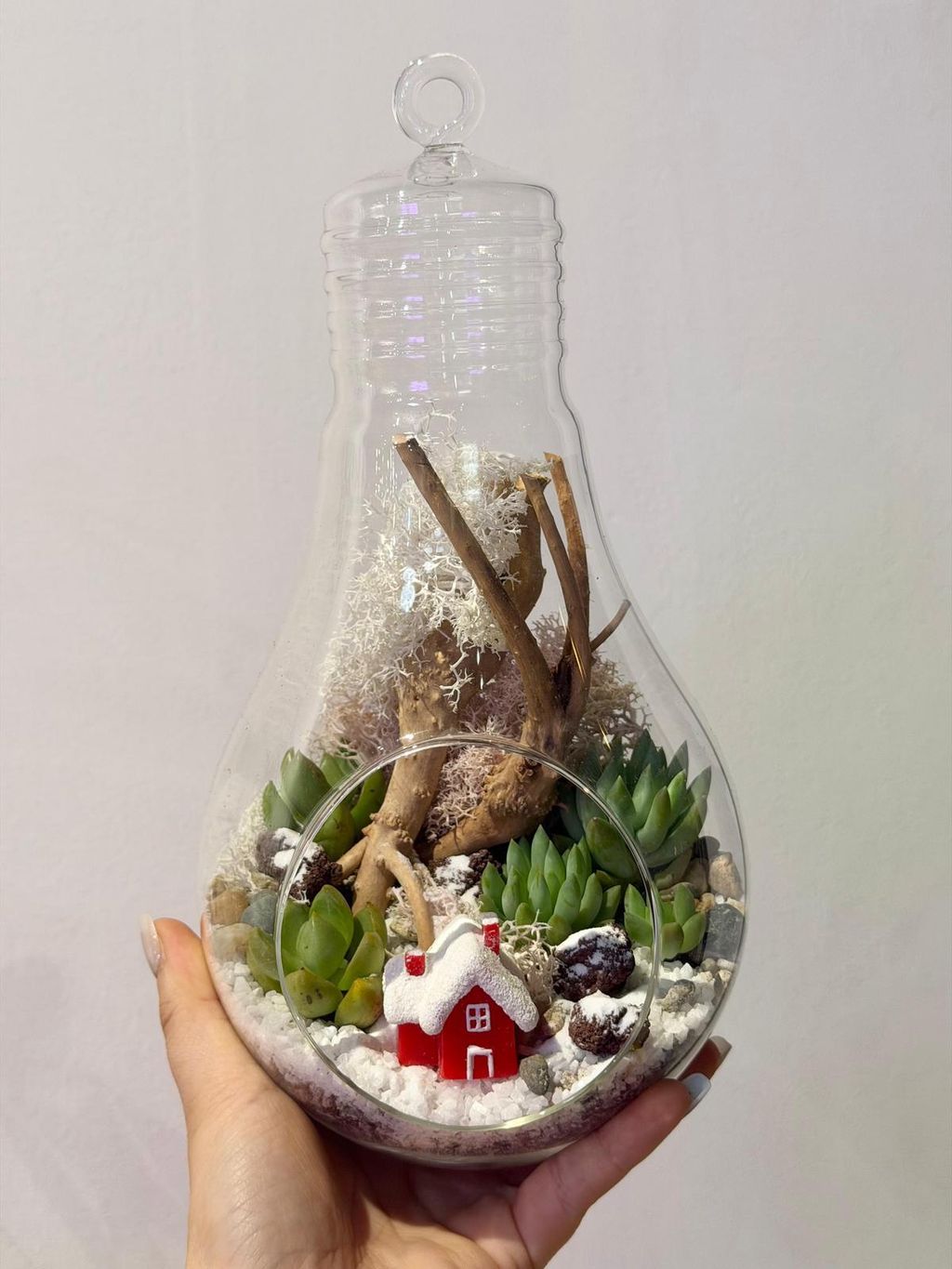 WhatsApp Image 2025-12-08 at 7.21.20 PM