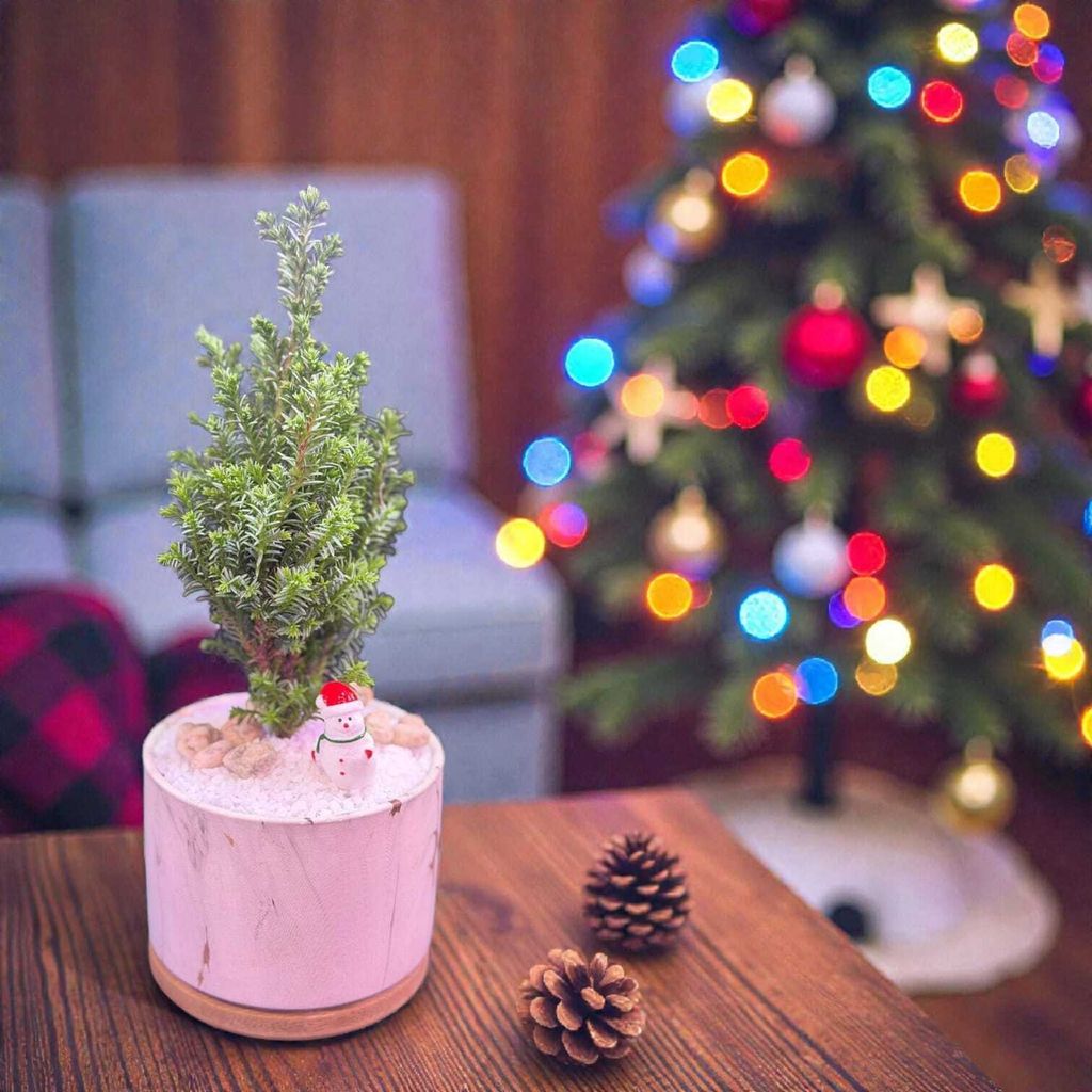 WhatsApp Image 2025-12-17 at 10.36.01 AM