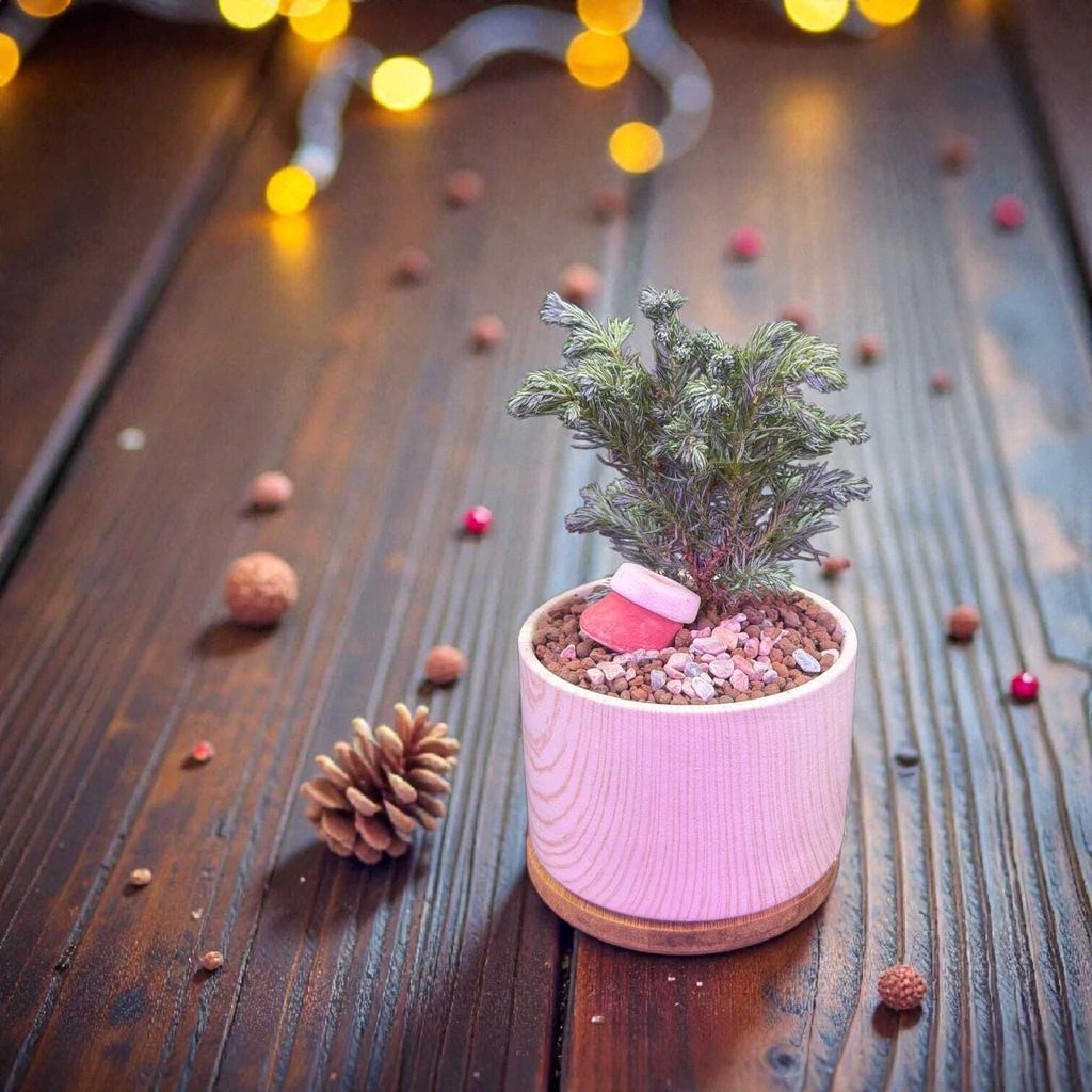 WhatsApp Image 2025-12-17 at 10.36.02 AM (1)