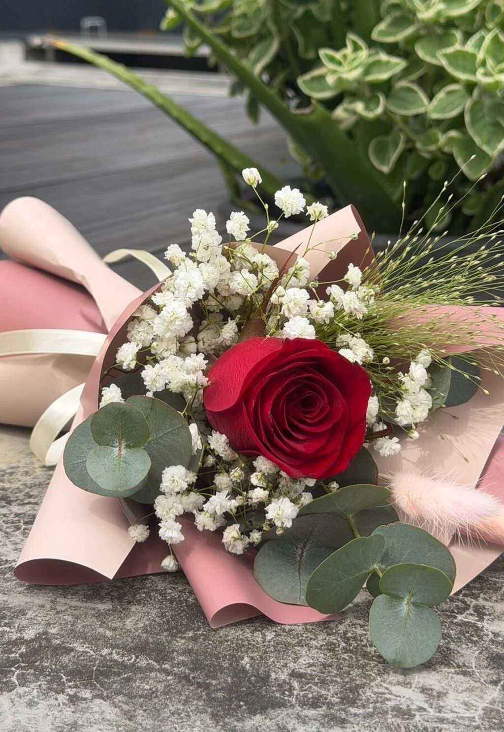 WhatsApp Image 2026-01-20 at 8.20.22 AM (3)