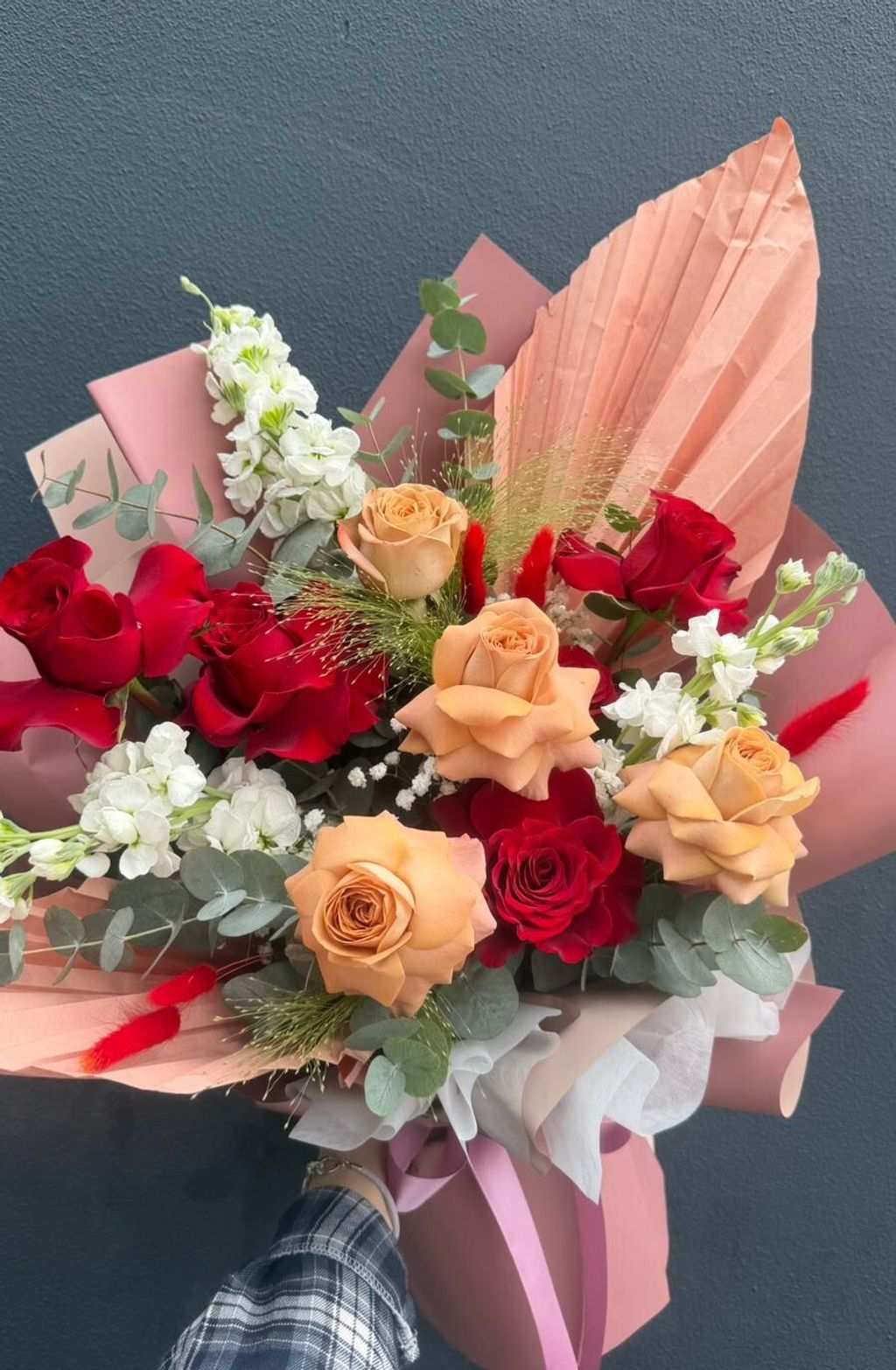 WhatsApp Image 2026-01-20 at 8.38.58 AM