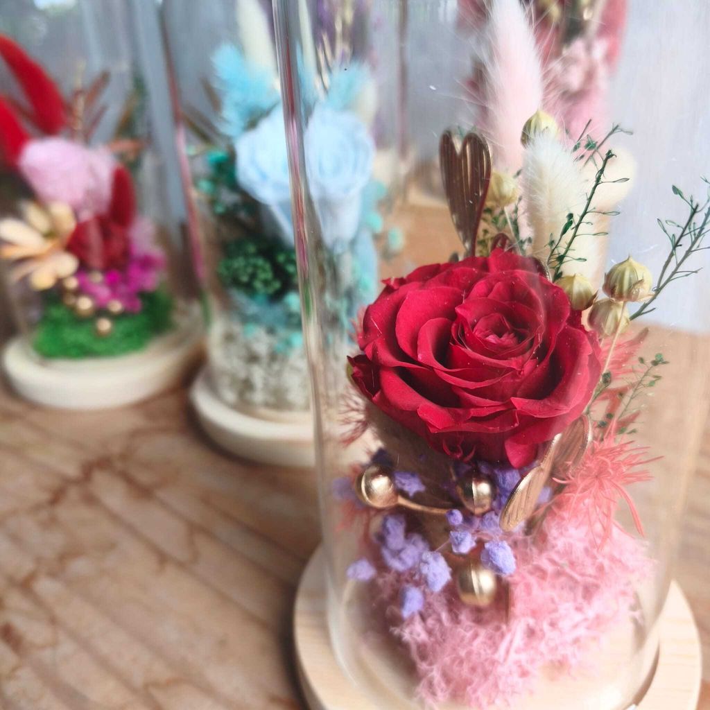 WhatsApp Image 2026-01-22 at 10.49.06 AM (1)