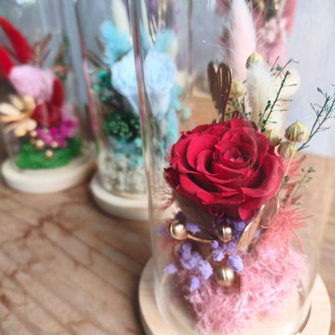 WhatsApp Image 2026-01-22 at 10.49.06 AM (1)