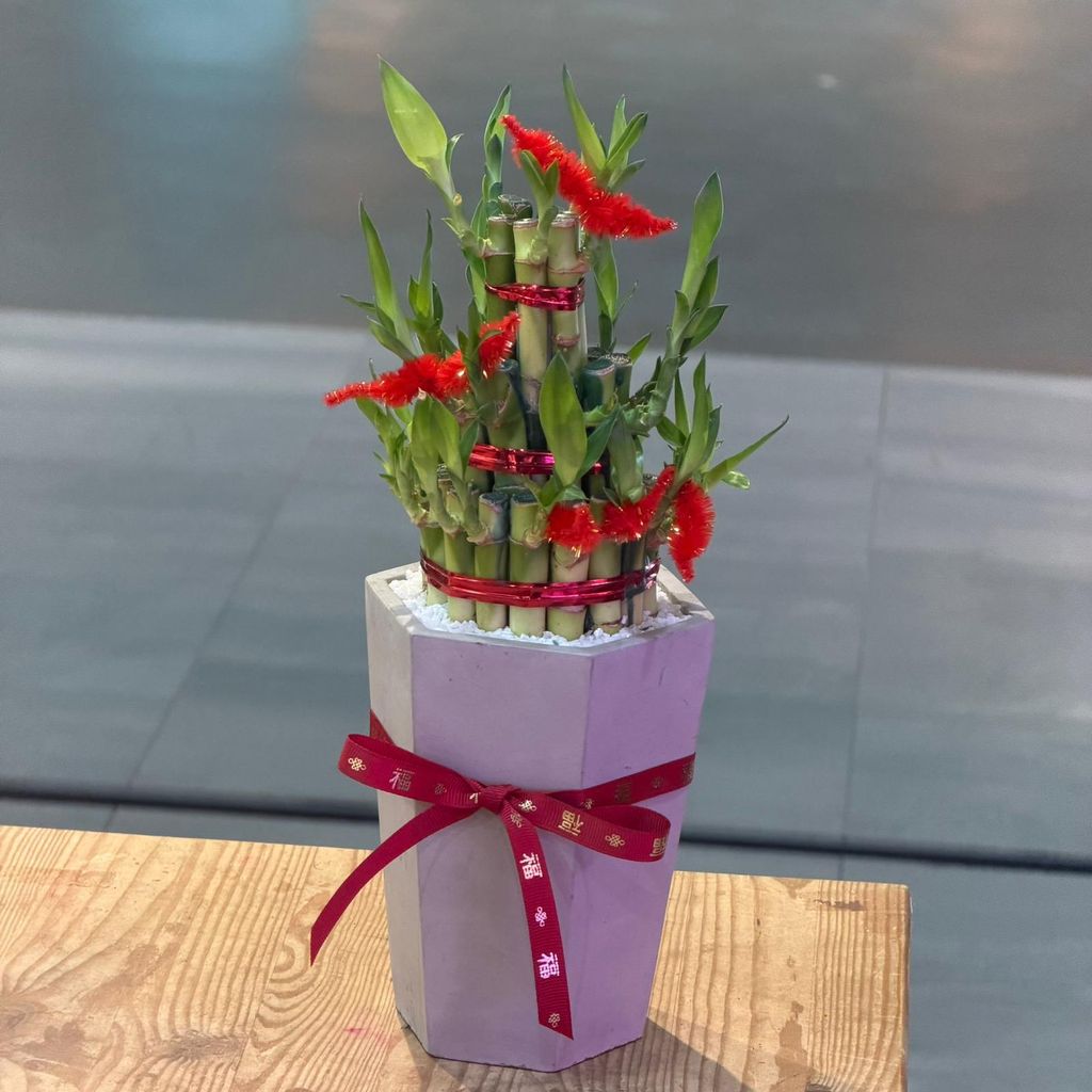 WhatsApp Image 2026-01-28 at 11.42.09 AM