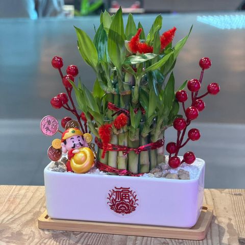 WhatsApp Image 2026-01-28 at 11.42.03 AM