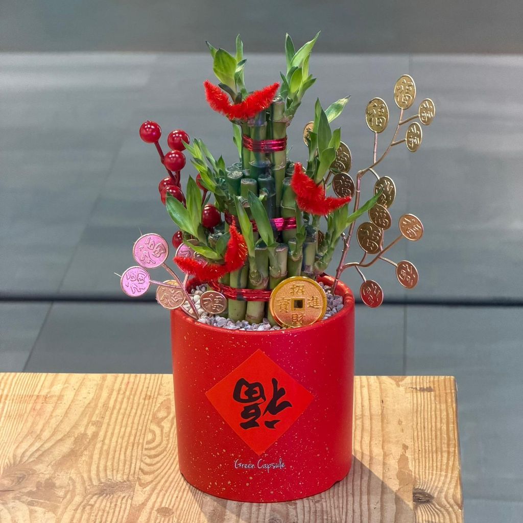 WhatsApp Image 2026-01-28 at 11.42.05 AM (1)