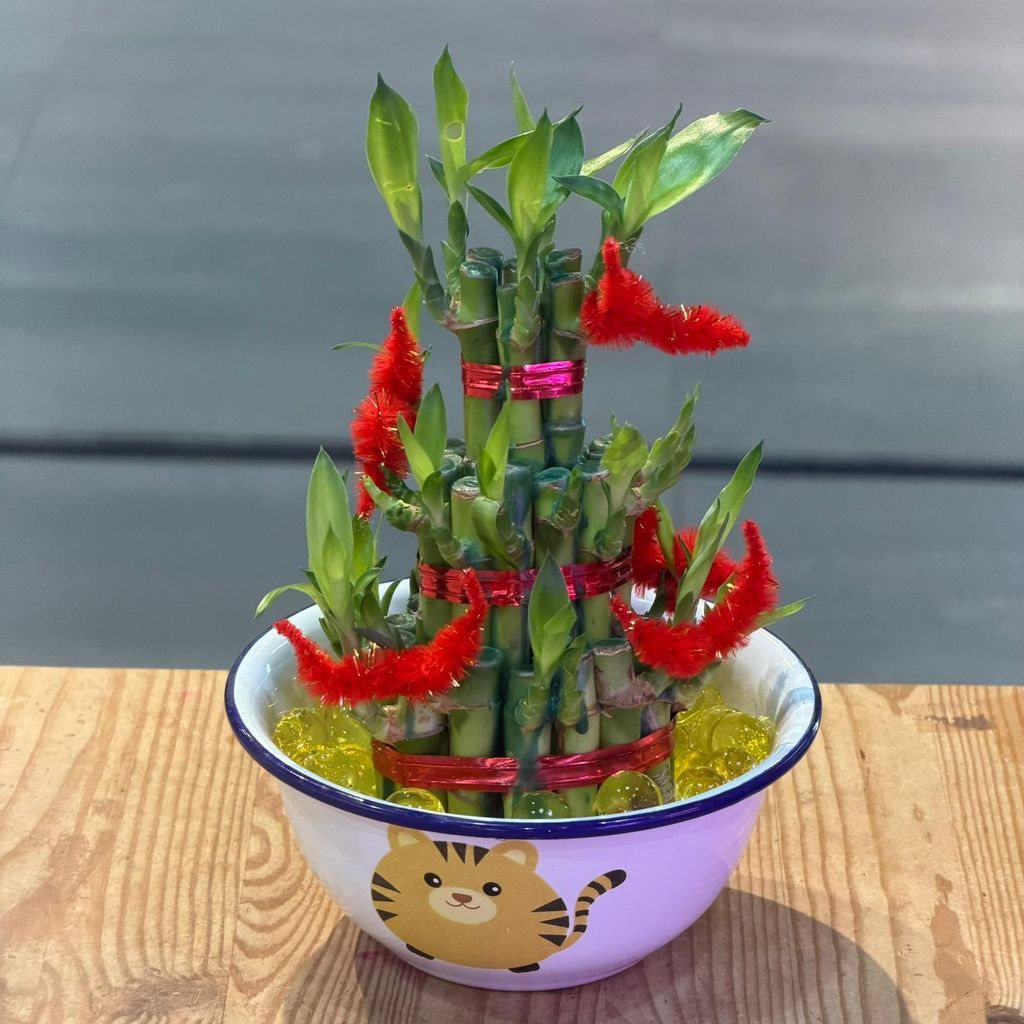 WhatsApp Image 2026-01-28 at 11.42.05 AM (2)