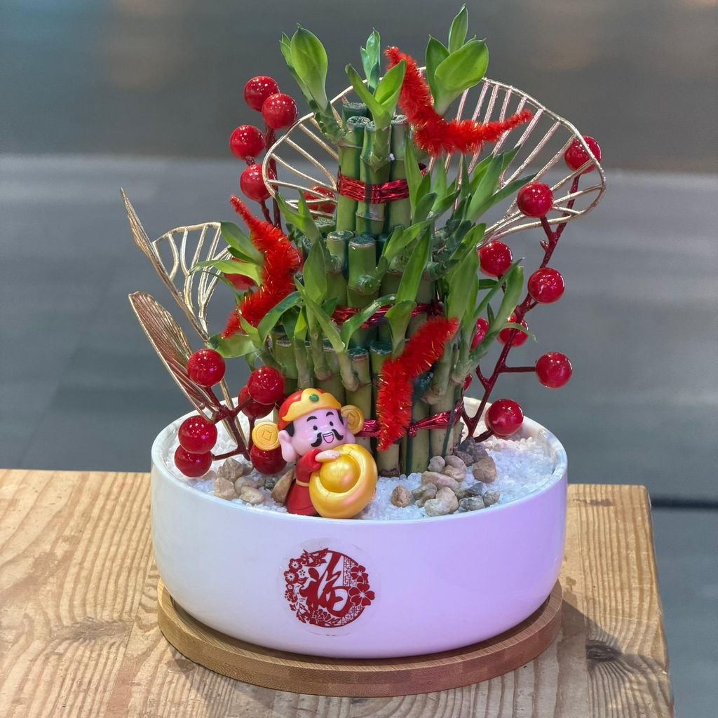 WhatsApp Image 2026-01-28 at 11.42.04 AM (1)