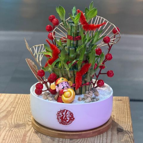 WhatsApp Image 2026-01-28 at 11.42.04 AM (1)