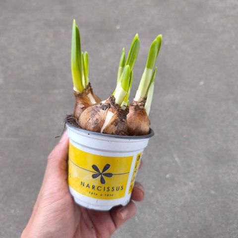 WhatsApp Image 2026-02-01 at 10.53.41 AM