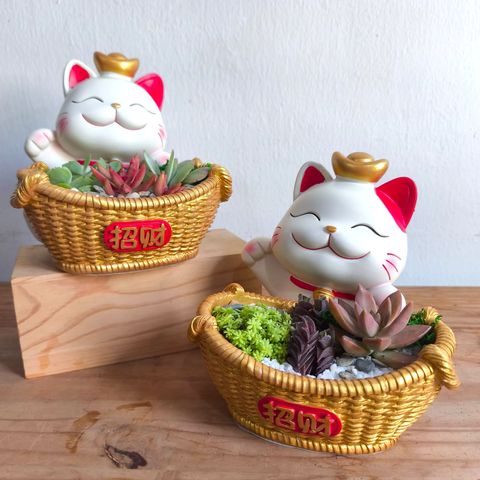 WhatsApp Image 2026-02-07 at 10.39.48 AM