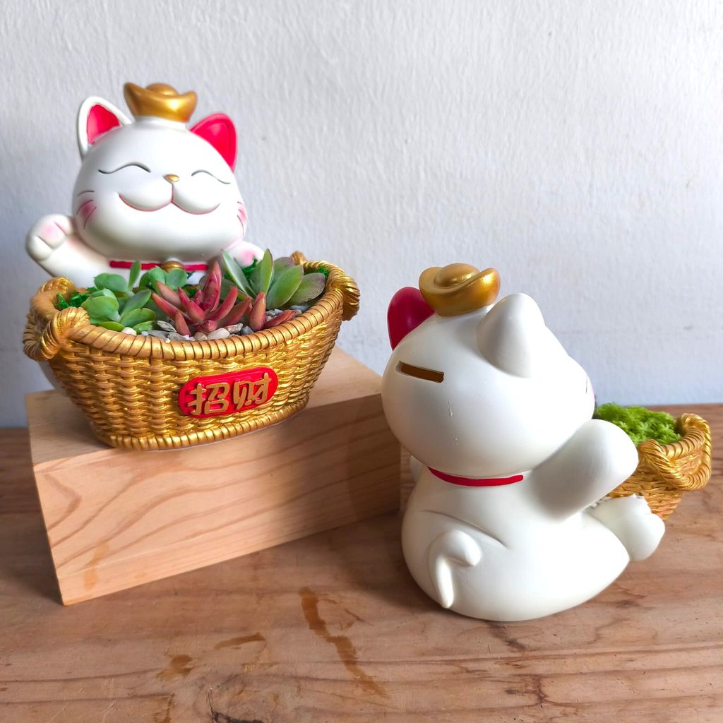 WhatsApp Image 2026-02-07 at 10.39.47 AM (1)