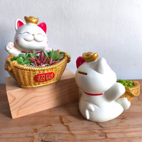 WhatsApp Image 2026-02-07 at 10.39.47 AM (1)