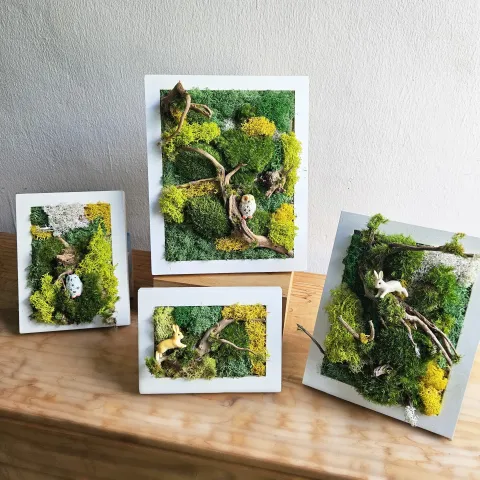 WhatsApp Image 2025-06-13 at 11.56.49