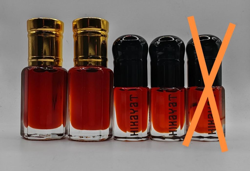 photo_2025-11-18_09-50-28