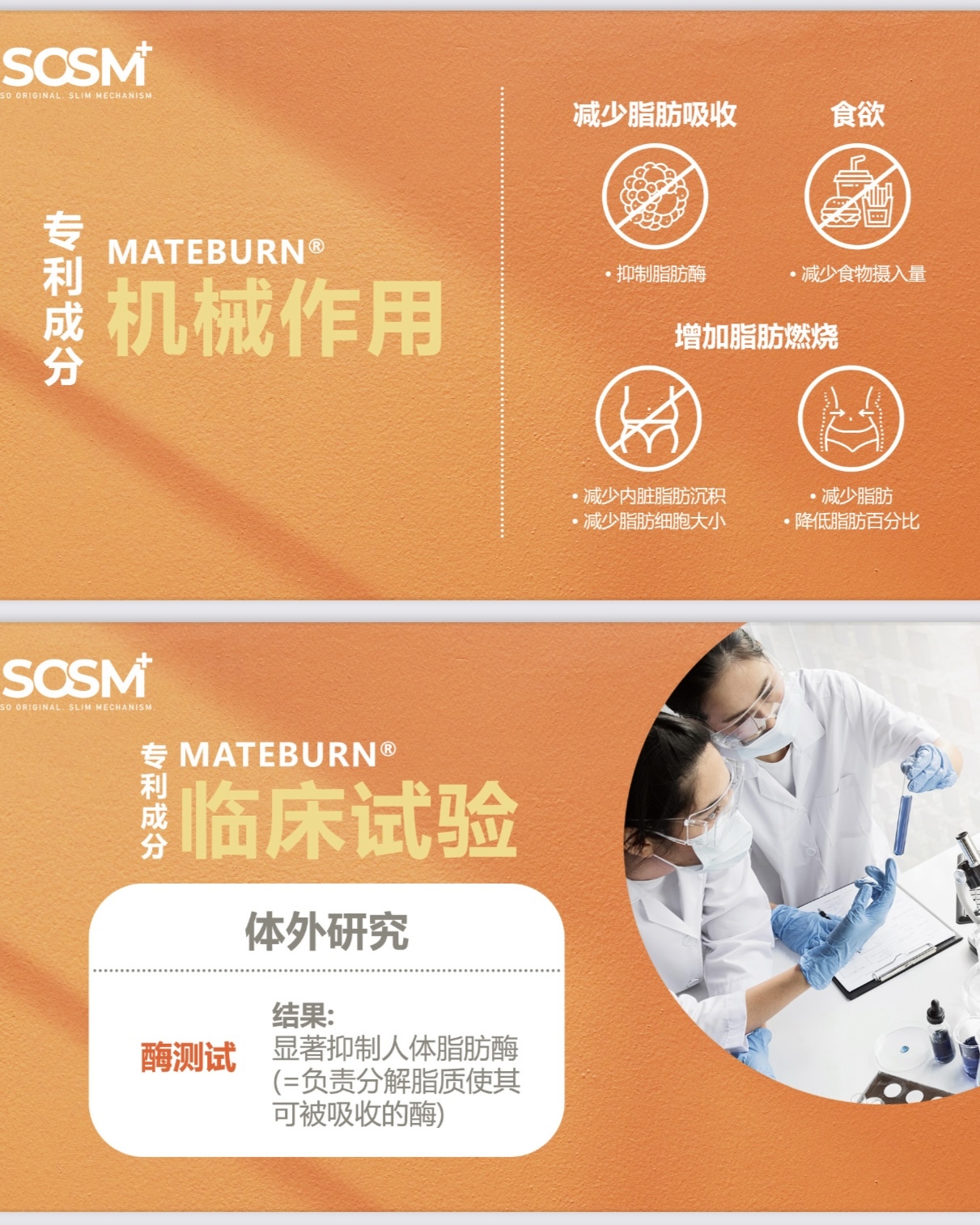 image_633249C8-C00A-40A8-B8F8-9EAA230F0DA8_1743356988