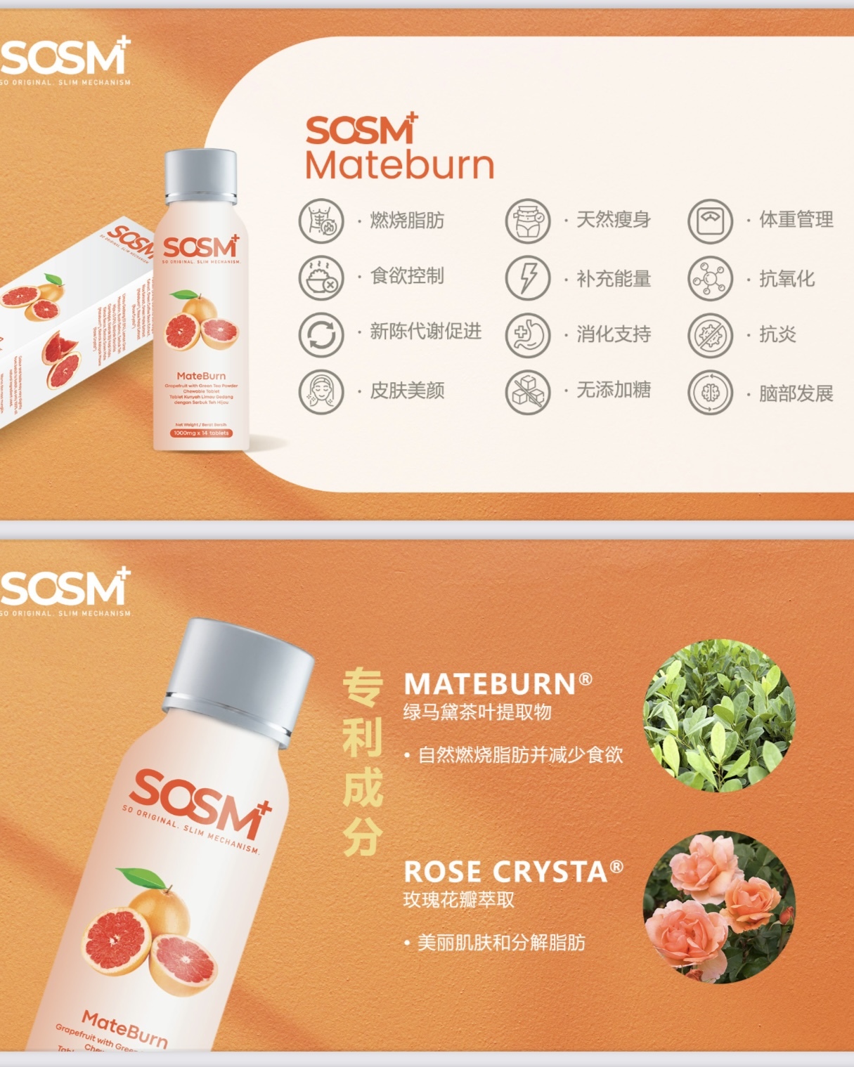 image_9769E8F9-3DCA-43CB-A680-4924629BF8AD_1743356988