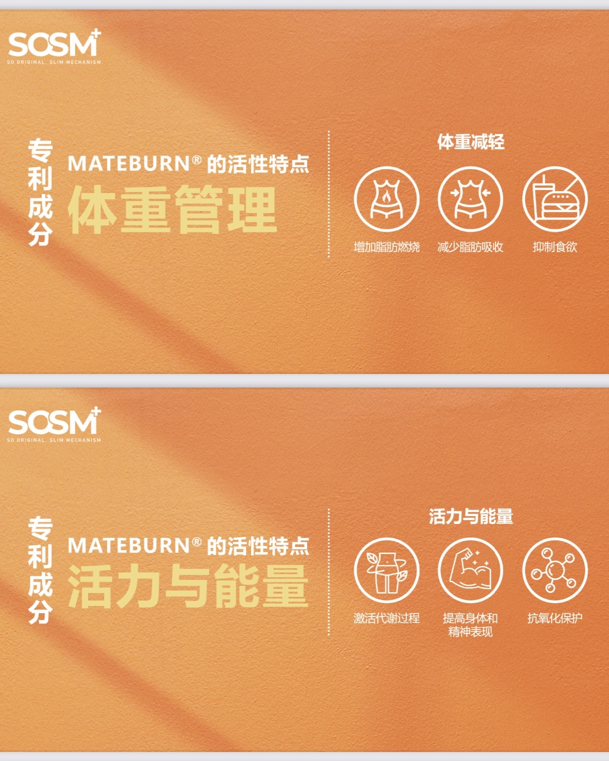 image_441A75B8-ED6E-46AE-B85A-5218785683BE_1743356988