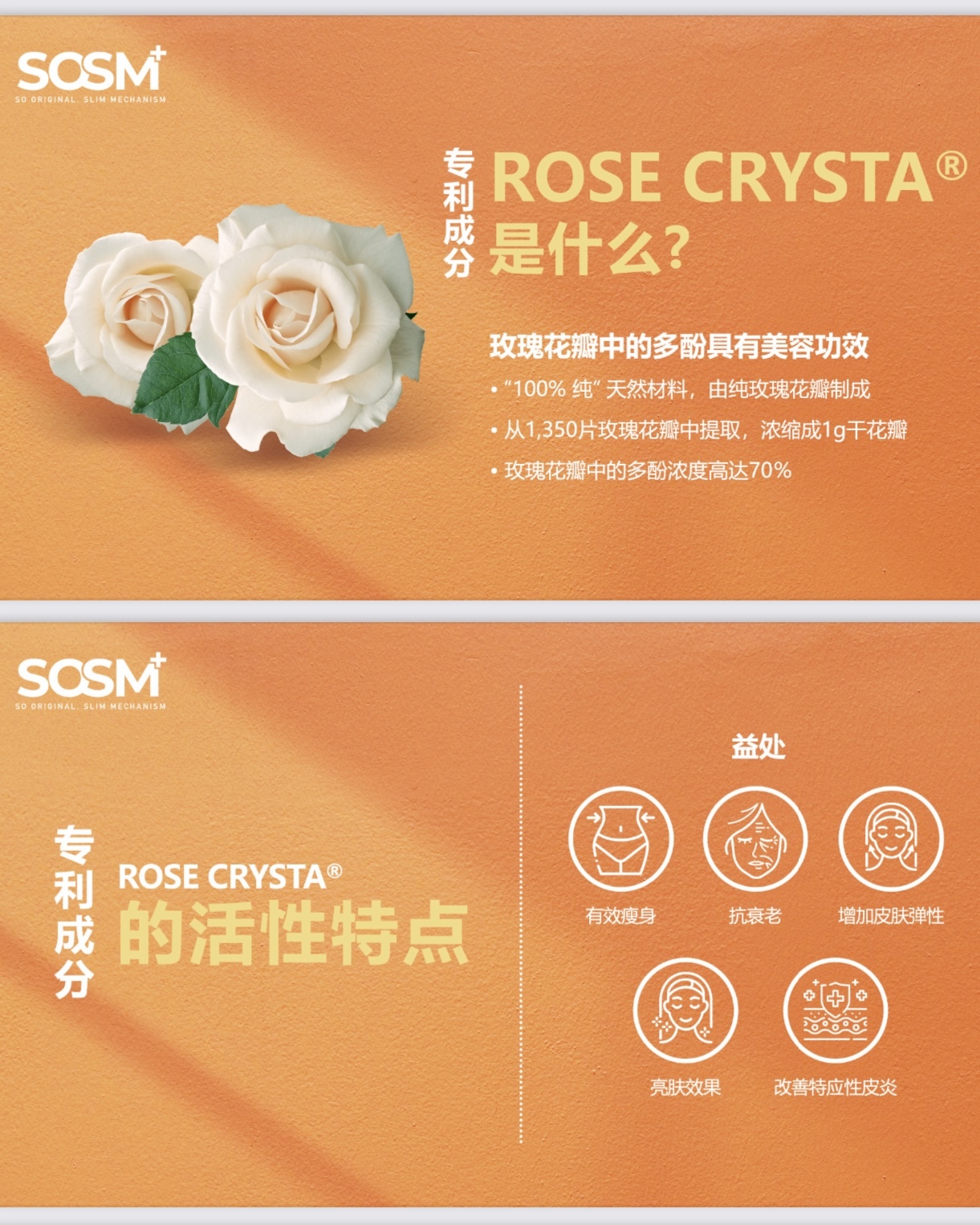 image_7C09ECC0-B922-4260-A6E3-C55A982D883D_1743357202