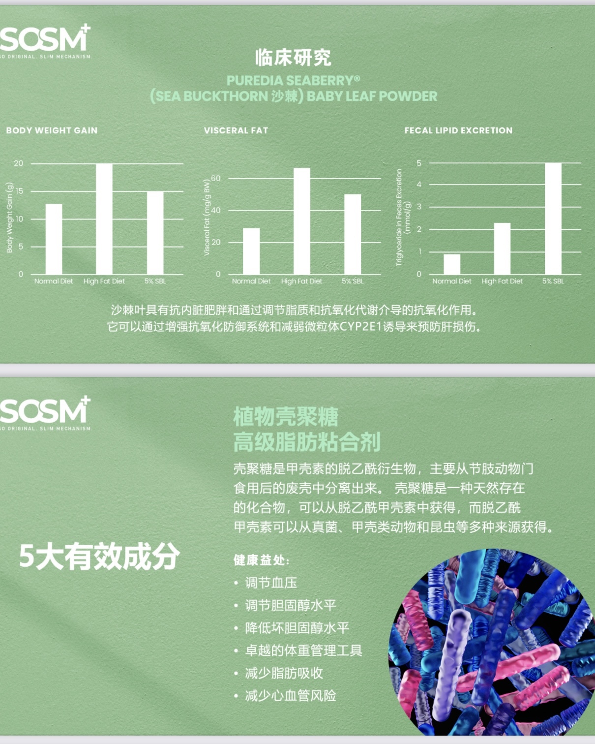 image_BB93148D-2067-47F9-837A-915AD8C403B1_1743357525