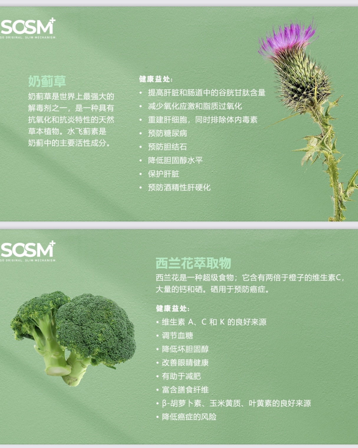 image_92C2CCF8-64B2-4871-B328-C3C4233BAC3C_1743357525