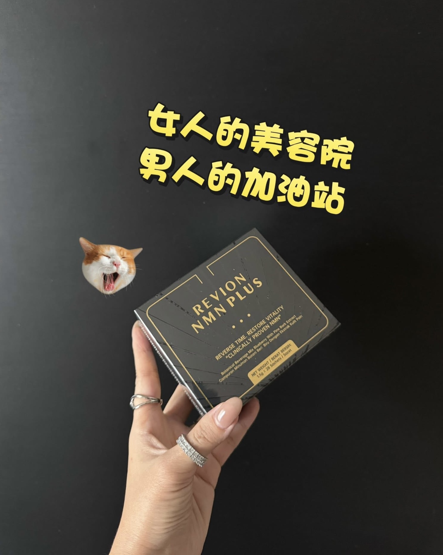 image_DB3D7FA3-D47D-4313-BEA8-E28CAFAD8CD6_1759997152