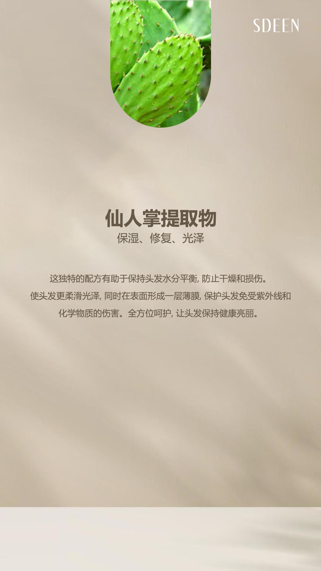 image_54804B02-9B76-4C74-B0F2-36C9282705C4_1760150980