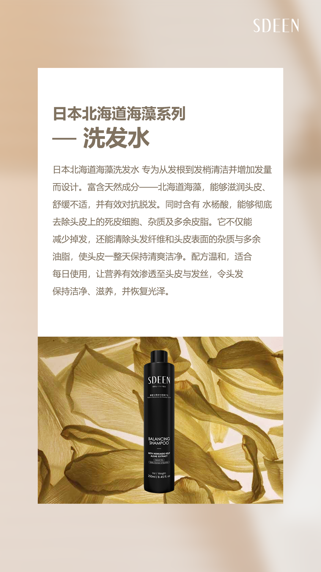 image_A1B08A14-A251-47EC-8514-50F6FA70FECA_1760151855