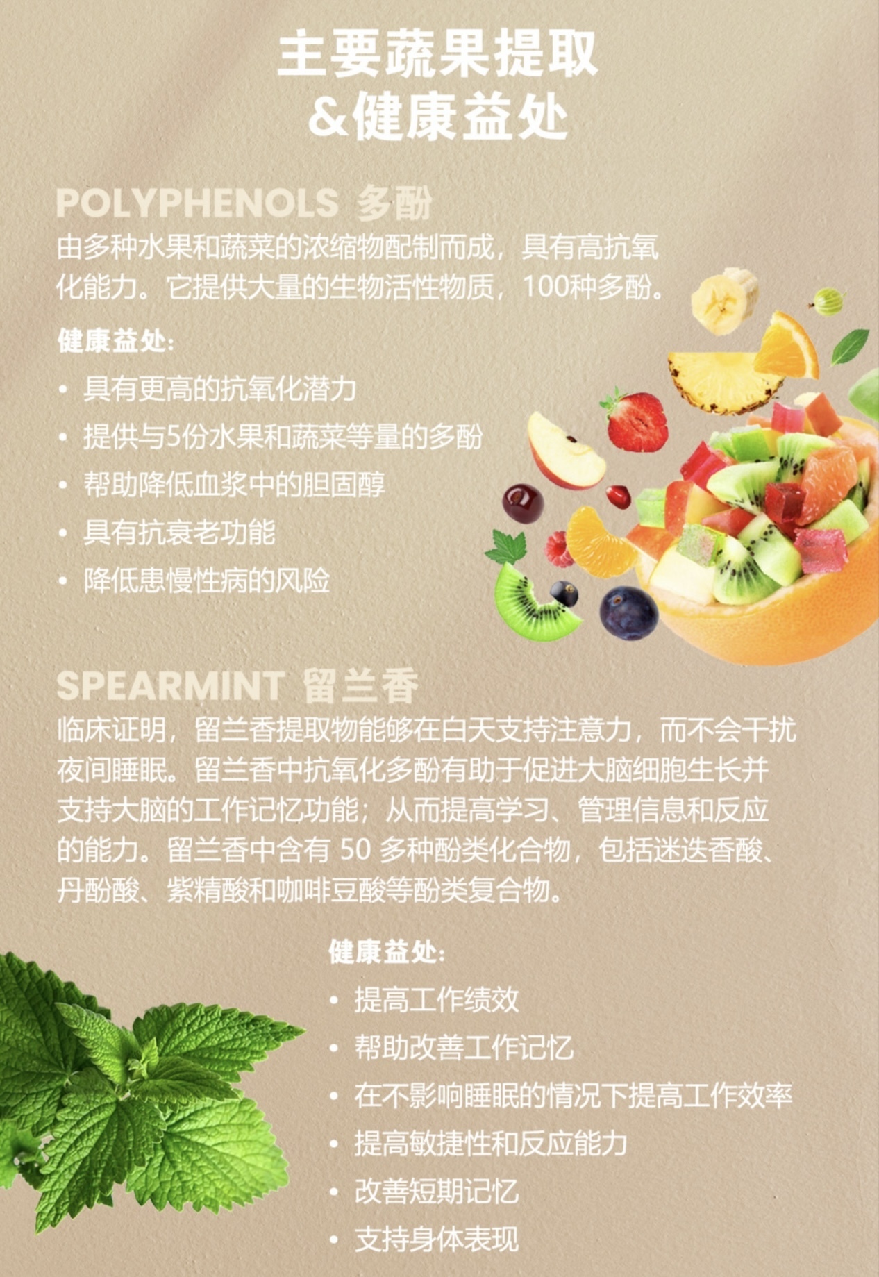 image_E295E853-C7DF-4F45-8AD5-8B08FE291EBB_1743341425