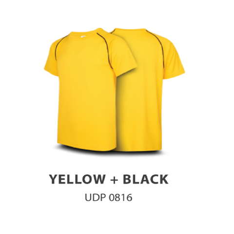 UDP 0816.png