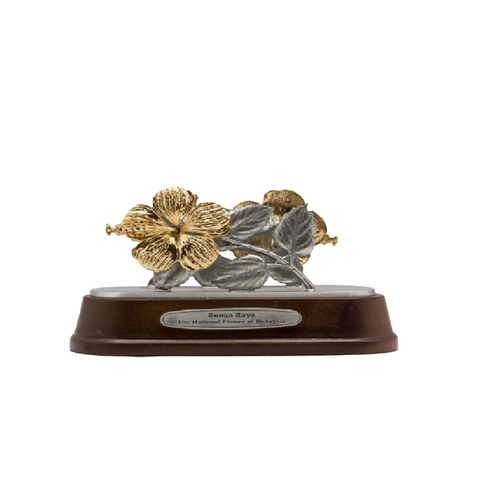 photoroom - 2022-05-24T153239.859.png