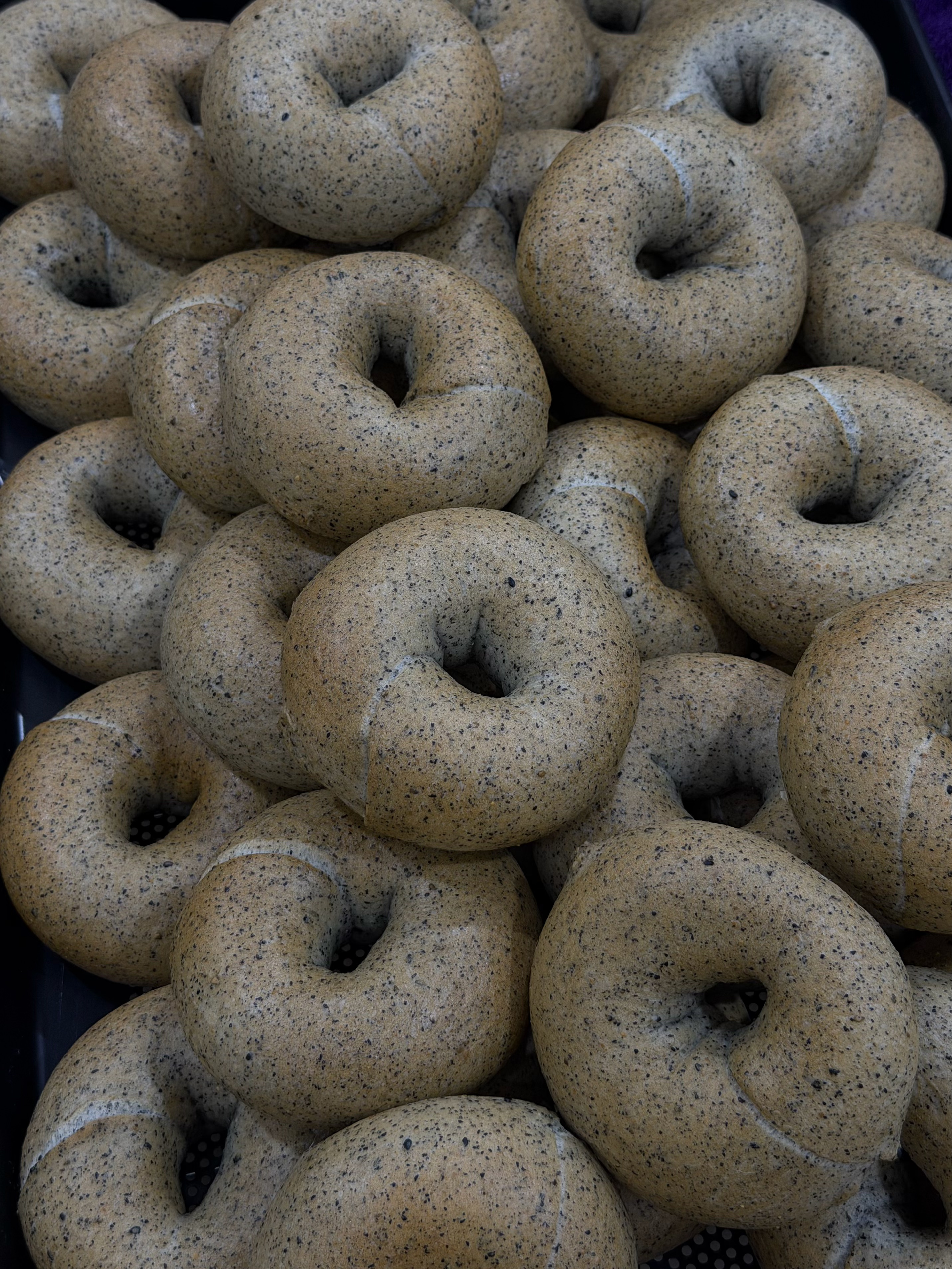  | Jo Le Bagel 