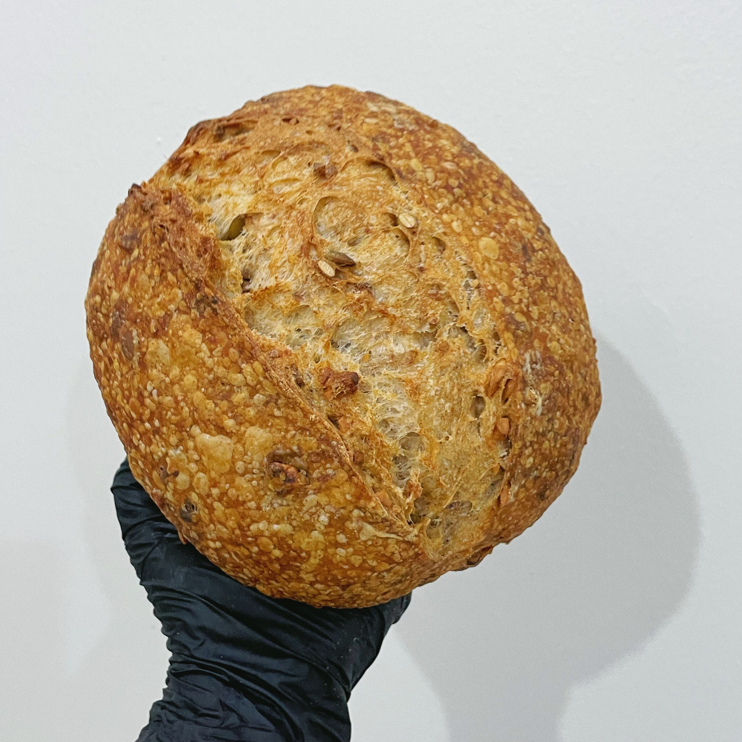 image_5AE69AC3-2F6D-43A5-948A-4EE0C5F465E9_1761884806