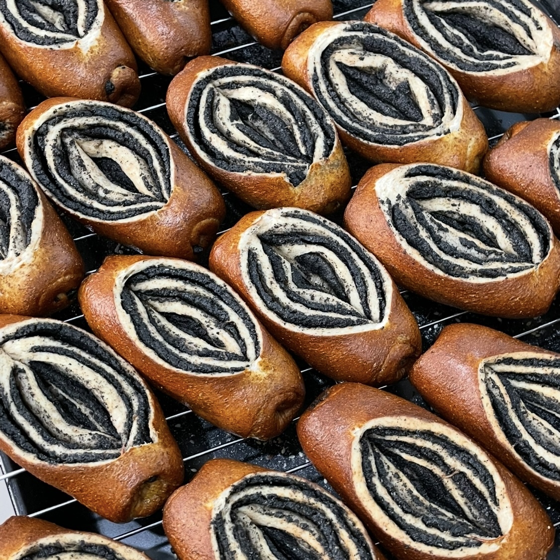 image_816FB975-D44C-4F44-ADE8-FF10289A48A2_1762432689