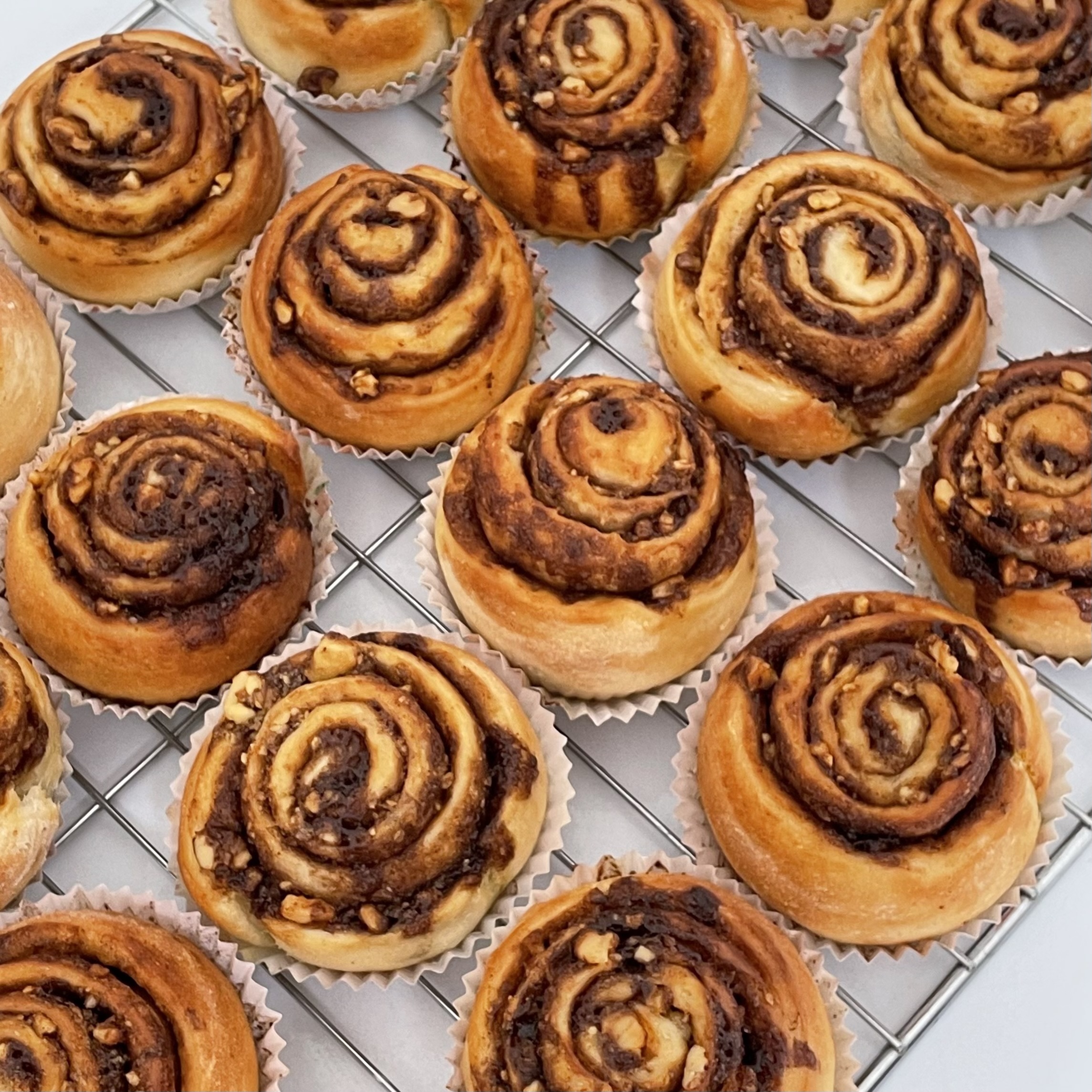 image_A4921812-43A4-4E3E-A6FD-2D2D90EB890C_1765377999