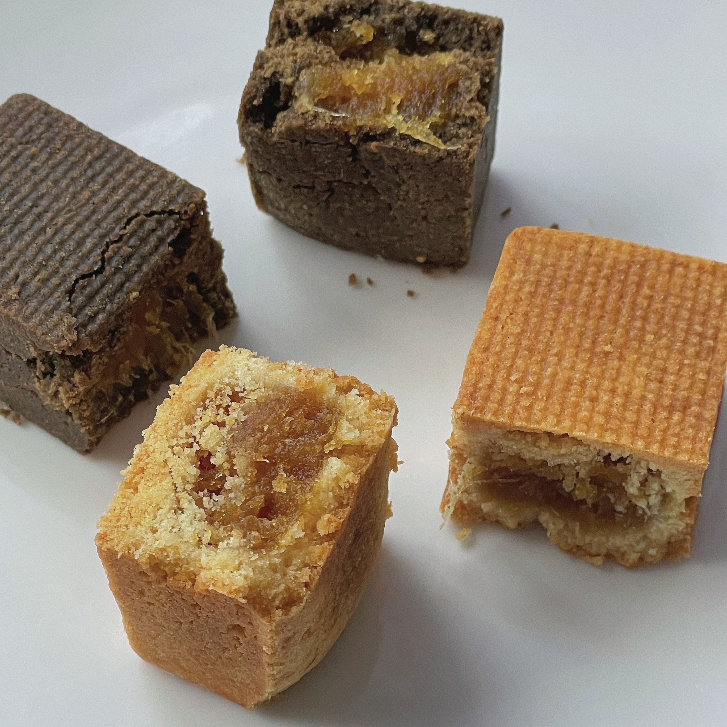 IMG_5662-1735487559121