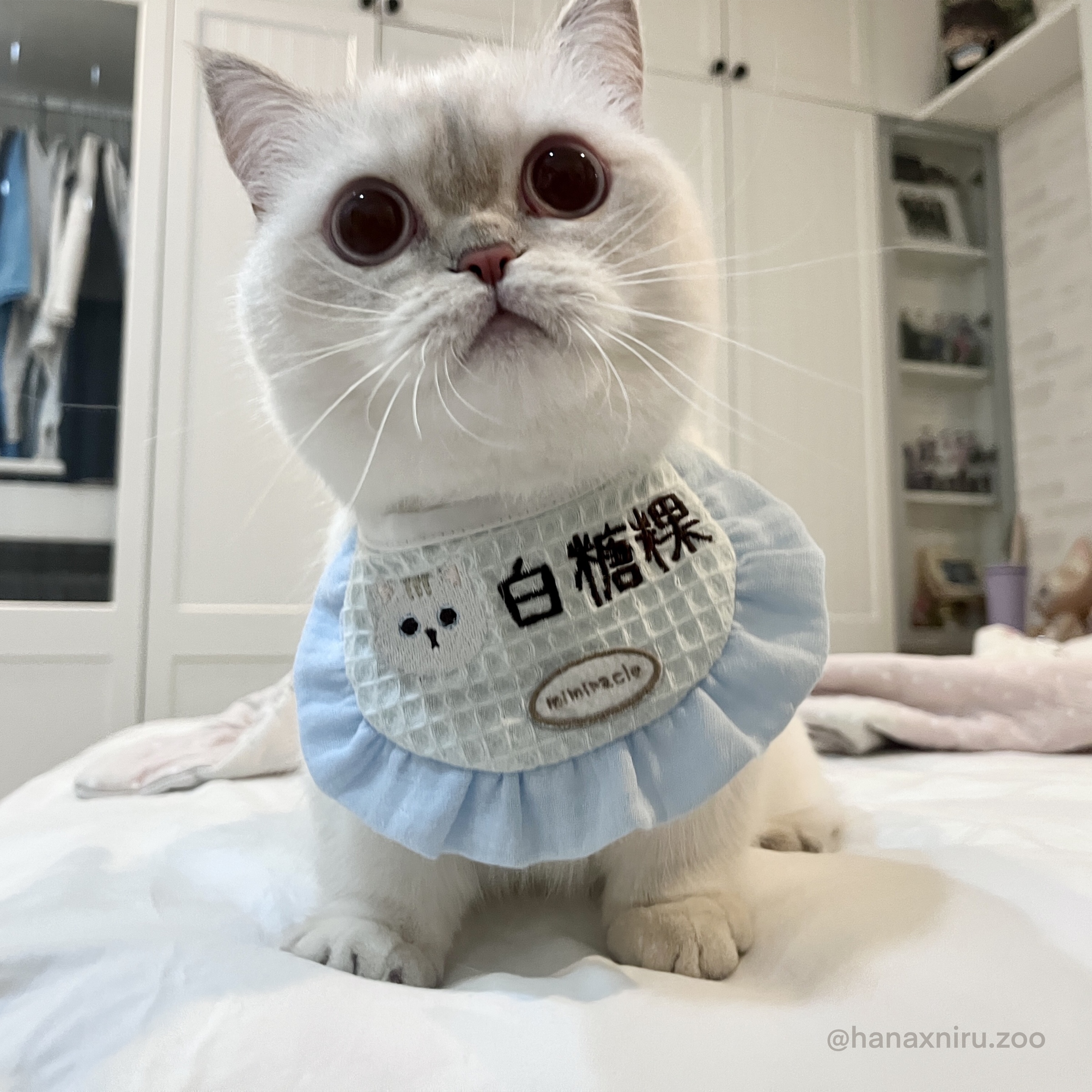 image0拷貝