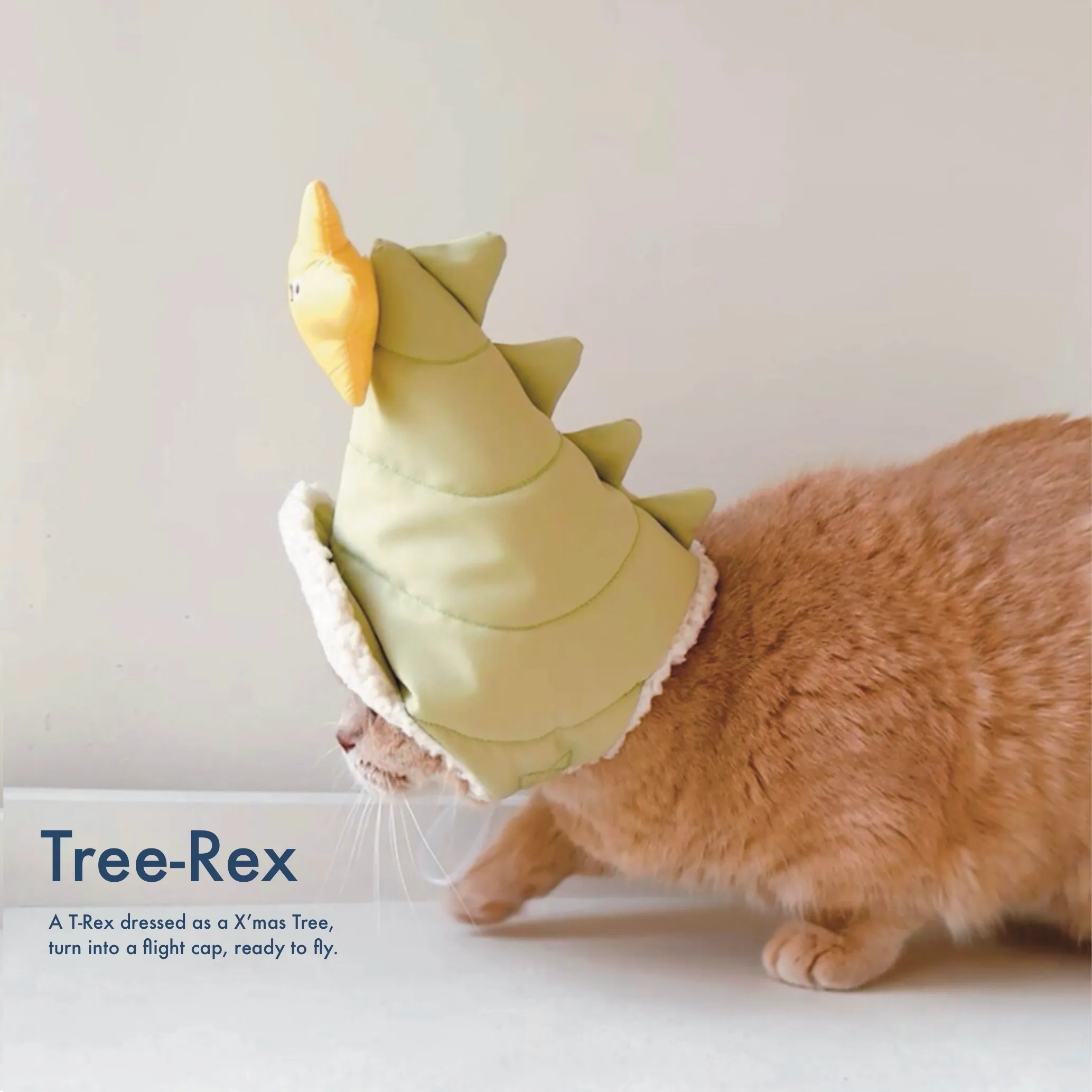 未命名的作品 81