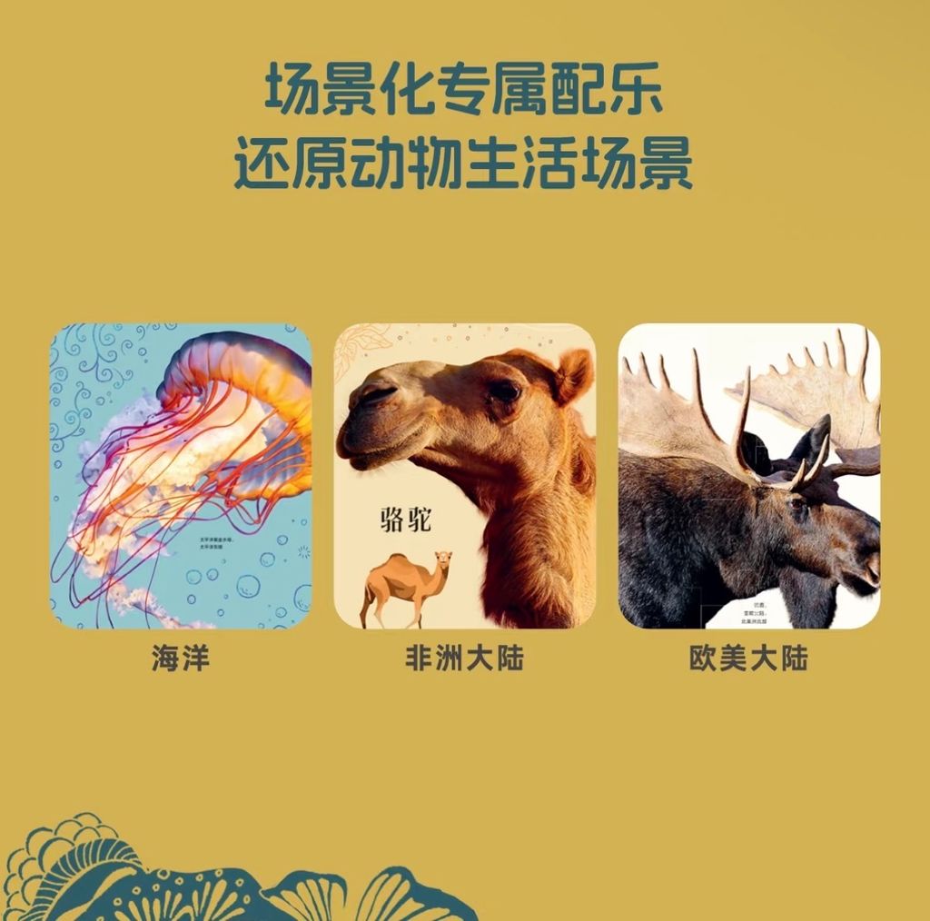 image_3C23B962-E8EE-4D74-8214-AB9AF0B54084_1787677422