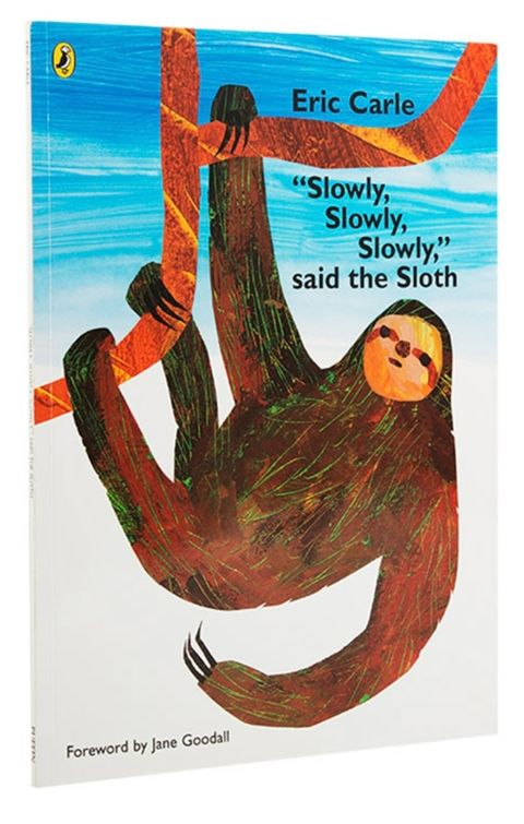 IMG_6673-1716549155276