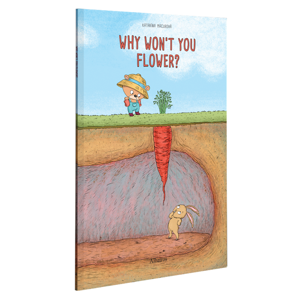 IMG_2547-1722796863185