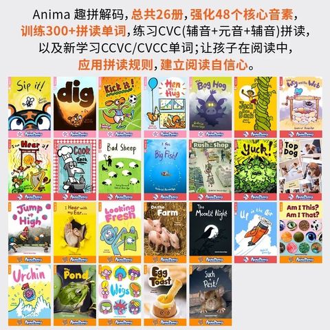 IMG_1784-1734710977398