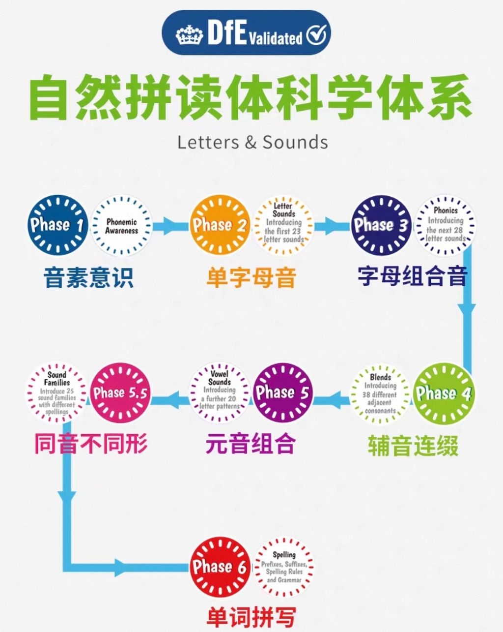 image_9D2C4ED2-F649-4870-BEF2-E085F9F66E75_1749619409