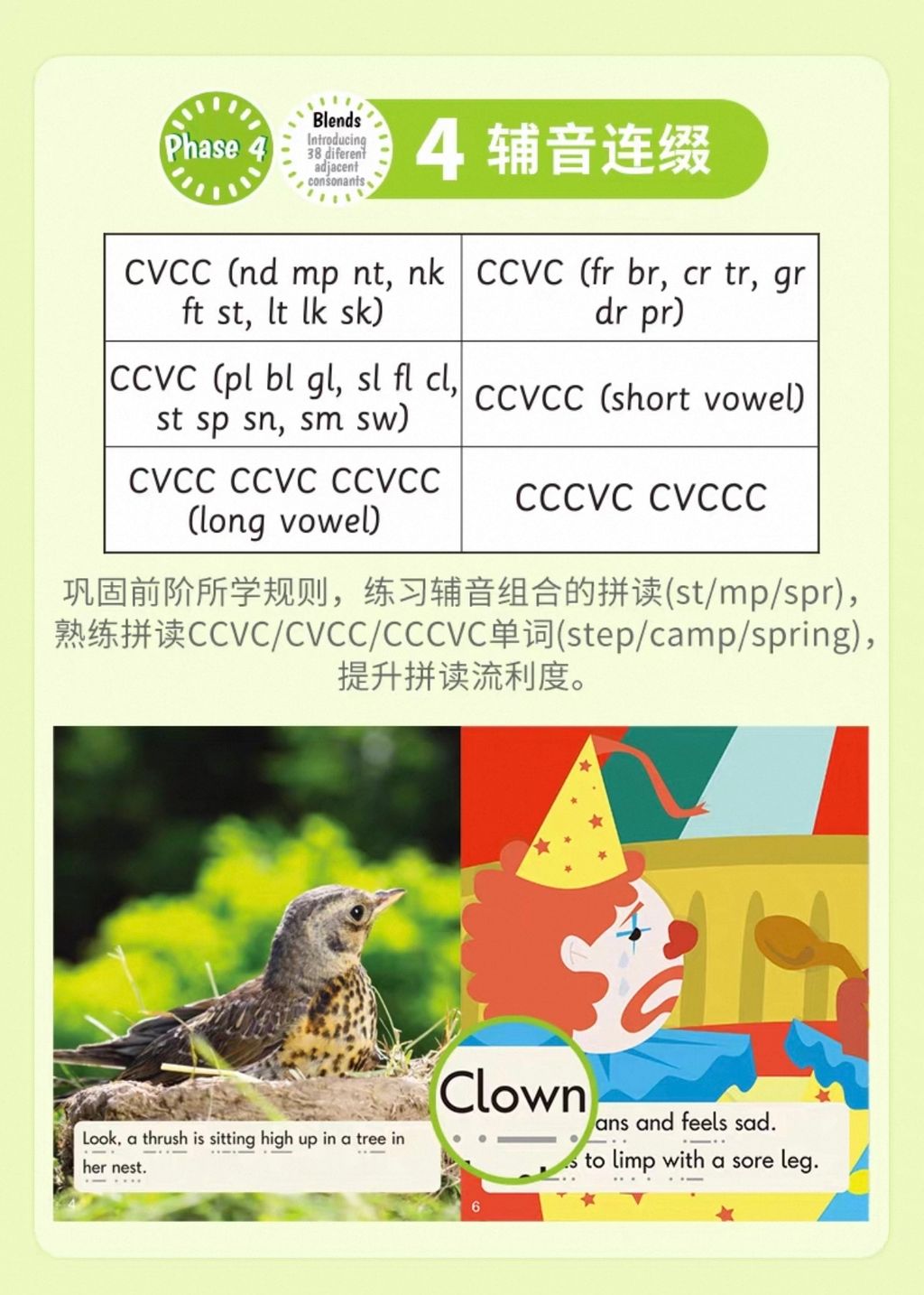 image_155C4CA6-E9F5-47AB-B4EE-5803DEF28AE8_1749619409